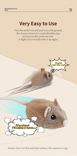 Interactive Mouse Cat Toys