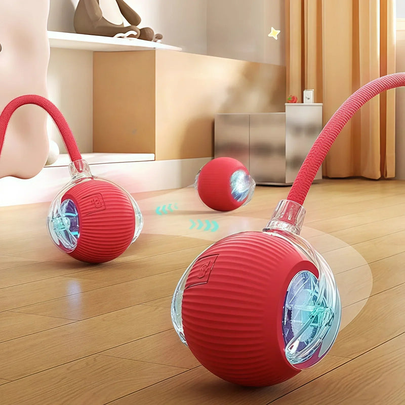 Cat Interactive Automatic Rolling Ball