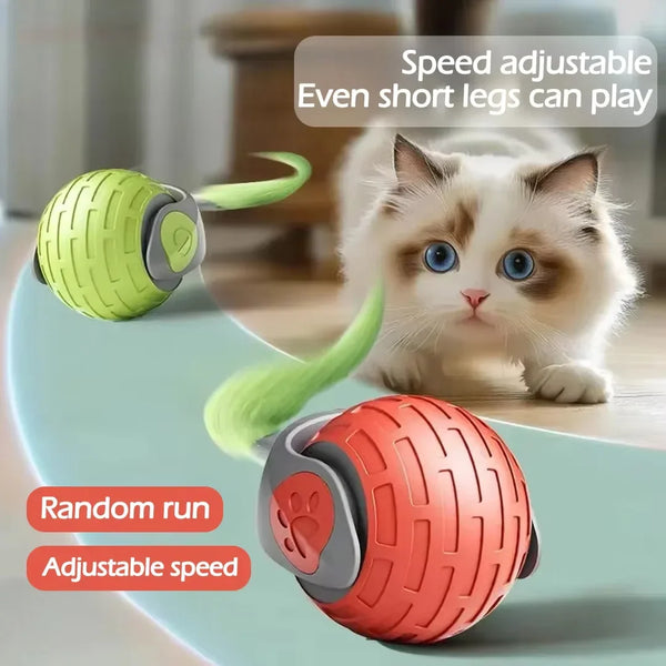 Cat Interactive Automatic Rolling Ball