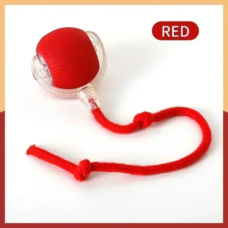 Cat Interactive Automatic Rolling Ball