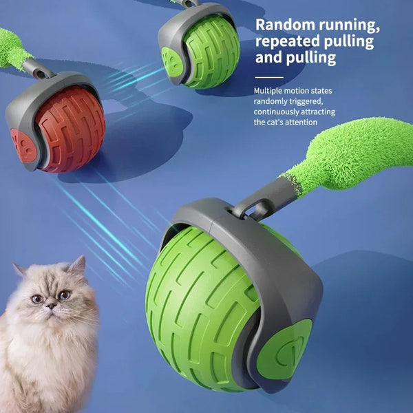 Cat Interactive Automatic Rolling Ball