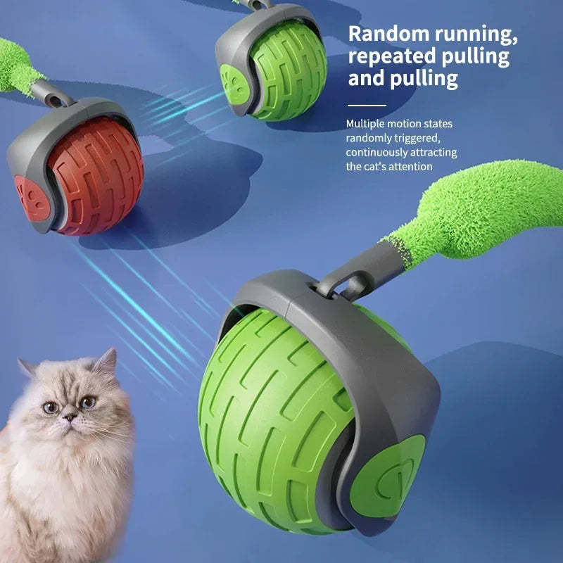Cat Interactive Automatic Rolling Ball