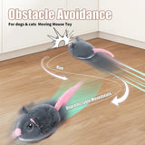 Interactive Mouse Cat Toys