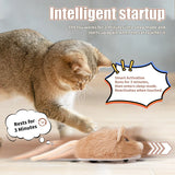 Interactive Mouse Cat Toys